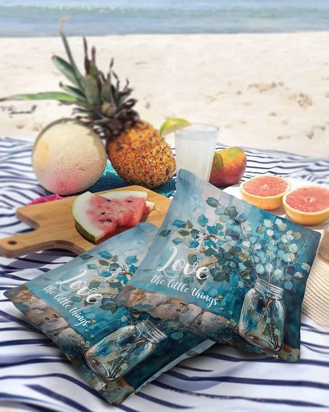 Outdoor Waterproof Throw Pillow Covers 24x24in, Vintage Eucalyptus Leaves Blue Cushions for Garden Patio Furniture Chairs Set of 2, Spring Watercolor Art Home Decor Couch Sofa Polyester Pillow Cases