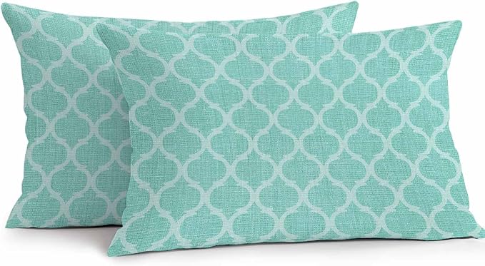 Turquoise Moroccan Outdoor Pillow Covers 20x12 Inch Lumbar Pillow Covers Set of 2 Waterproof Decorative Throw Pillow Cases Morocco Boho Ethnic Abstract Geometric Cushion Covers for Patio Furniture