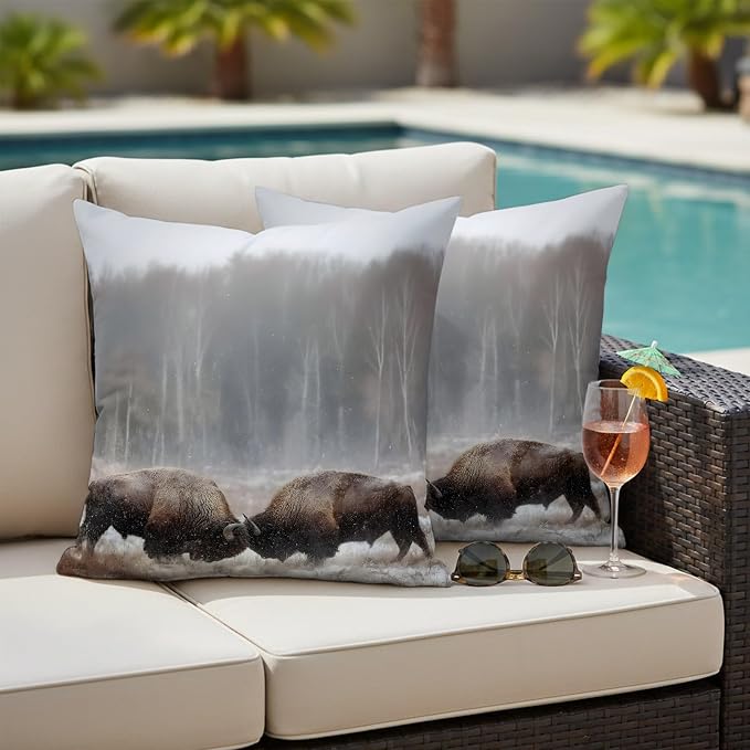 Fighting Bulls Outdoor Pillow Covers 24"x24" Set of 2, Landscape Powerful Animal Waterproof Throw Pillow Covers for Patio Furniture, Decorative Cushion Covers for Porch