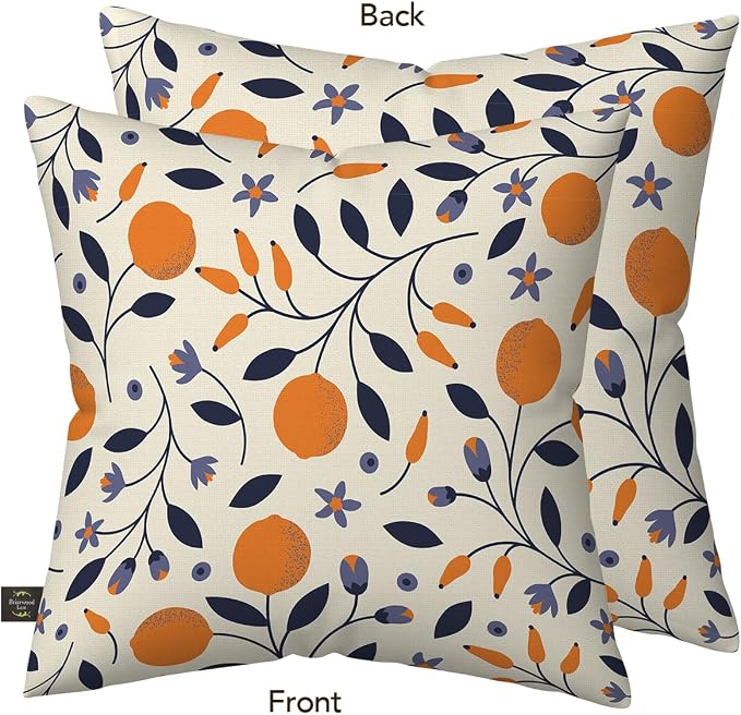 Briarwood Lane Everday Indoor/Outdoor Pillow 17x17 Citrus and Vines for Everday Pillow
