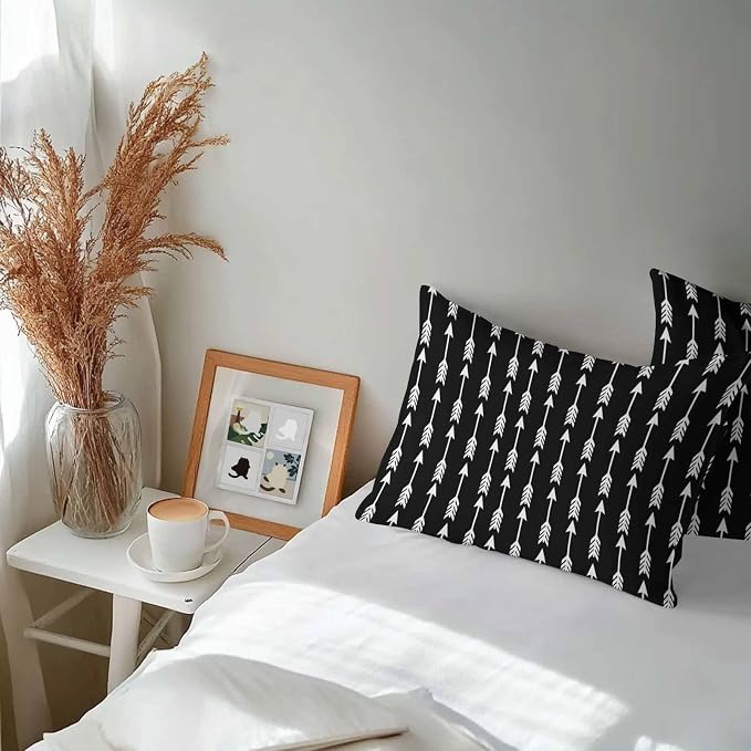 Arrow Outdoor Pillow Covers 20"x12" Set of 2, Abstract Rustic Western Tribal Geometric Arrow Black Waterproof Throw Pillow Covers for Patio Furniture, Decorative Cushion Covers for Porch