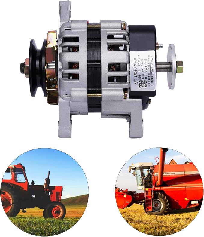 2000W PMA Permanent Magnet Generator DC Brushless Low Rpm Alternator Double Wheel Generator Agriculture (12V/ Double Wheel)