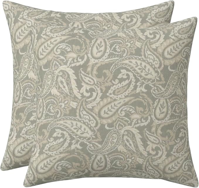 RSH DECOR Square Throw Pillows Set of 2 | 17" x 17" | Water and Fade-Resistant Performance Fabric | Outdoor Pillow Covers with Down-Alternative Inserts | Made in USA (Ayideal Fossil)