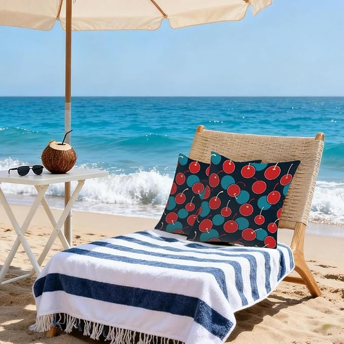 20x20 Inch Outdoor Pillow Covers Set of 2 Waterproof Throw Pillow Covers Decorative Couch Cushion Covers Red Cherry Blue Circle Square Pillowcases Protectors for Patio Garden Sofa