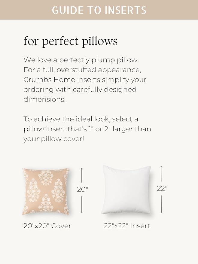 Crumbs Home Throw Pillow Inserts Set of 2, 22"x22" (for Cover Size 20"x20") Water Repllent Synthetic Down Alternative Sham Stuffer for Indoor Outdoor Use, Karate-Chop Effect