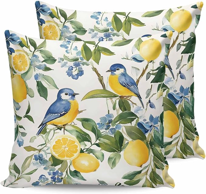 Outdoor Throw Pillow Covers Waterproof Pillow Cases 24x24In, Watercolor Lemon Bird Decorative Pillow Covers Cushion Cases for Couch Sofa Patio Garden,2 Pack Vintage Spring Blue Flower Foliage