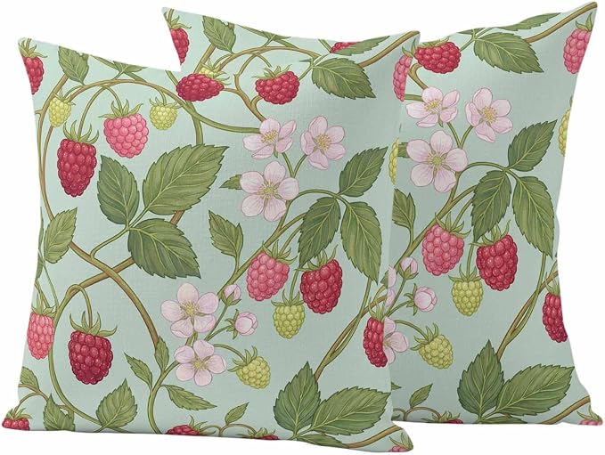 Raspberry Leaves Outdoor Pillow Covers 18"x18" Set of 2, Watercolor Red Pink Fruit Floral Mint Green Waterproof Throw Pillow Covers for Patio Furniture, Decorative Cushion Covers for Porch