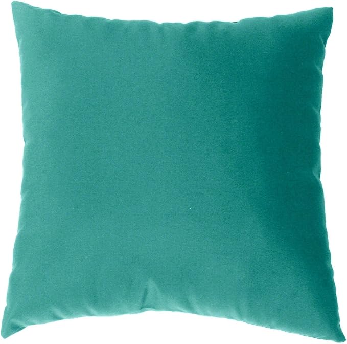 Cushion Source 17" x 17" Sunbrella Throw Pillow, Indoor/Outdoor Decorative Pillow, Fade and Water Resistant, Sunbrella Aruba