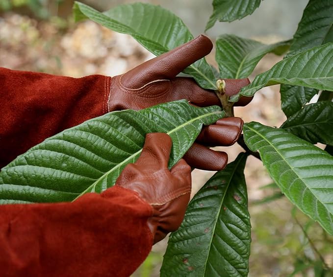 Acdyion Thorn Proof Gardening Gloves for Men & Women(Brown,Medium) | Long Puncture-resistant Cowhide Leather Gauntlets for Rose Pruning, Cacti, and Yard Work