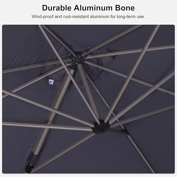 PURPLE LEAF 9’ X 9‘ Patio Umbrella Outdoor Cantilever Umbrella, Aluminum Offset Umbrella with Champagne Frame and 360° Rotation for Pool Deck Garden, Light Grey