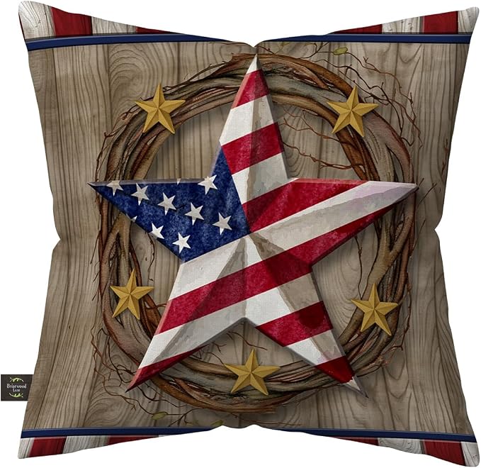 Briarwood Lane Everyday Indoor/Outdoor Pillow 17x17 American Barn Star Pillow