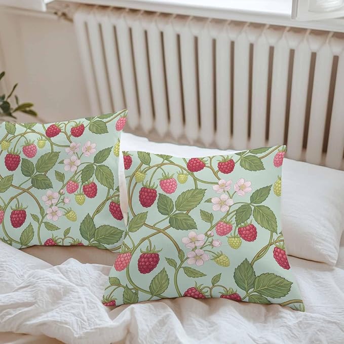 Raspberry Leaves Outdoor Pillow Covers 18"x18" Set of 2, Watercolor Red Pink Fruit Floral Mint Green Waterproof Throw Pillow Covers for Patio Furniture, Decorative Cushion Covers for Porch