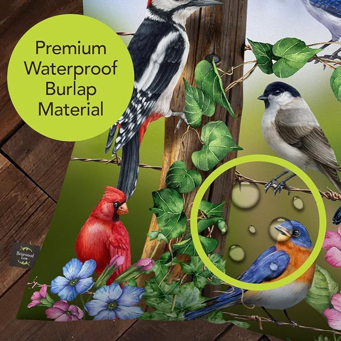 Briarwood Lane Spring Indoor/Outdoor Pillow 17x17 Country Birds for Spring Pillow