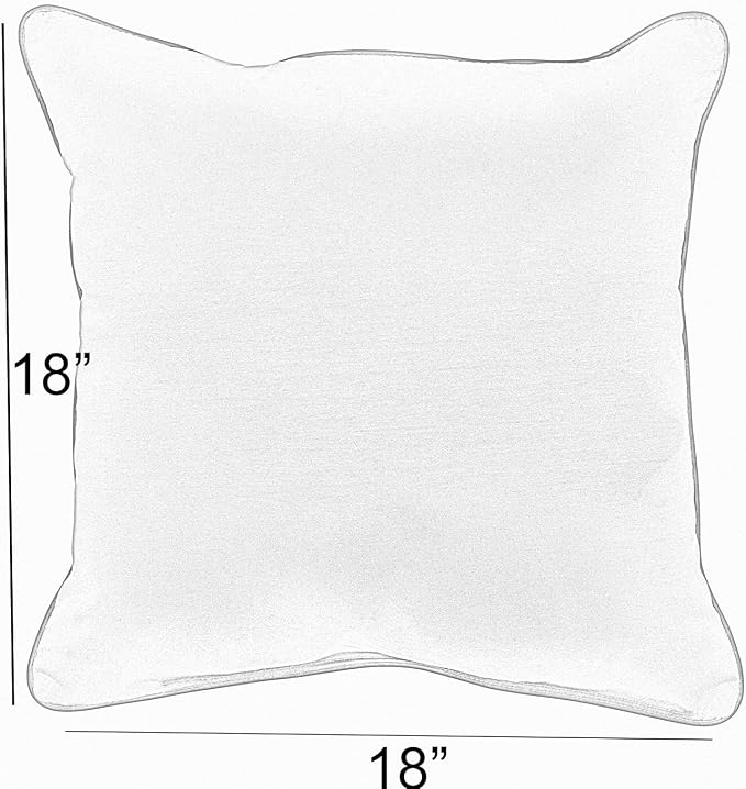 Mozaic AZPS2556 Indoor Outdoor Sunbrella Square Pillow with Corded Edges, Set of 2, 2 Count (Pack of 1), Canvas Aruba Blue