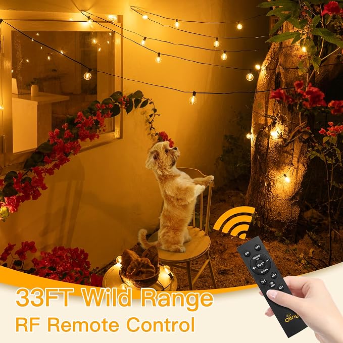 Ollny 60FT Solar Lights Outdoor, Waterproof Remote Control Dimmable Timers 3Modes String Light with 25 LED + 2 Spare Shatterproof Bulb, G40 Patio Lights for Outside Garden Yard Fence Porch