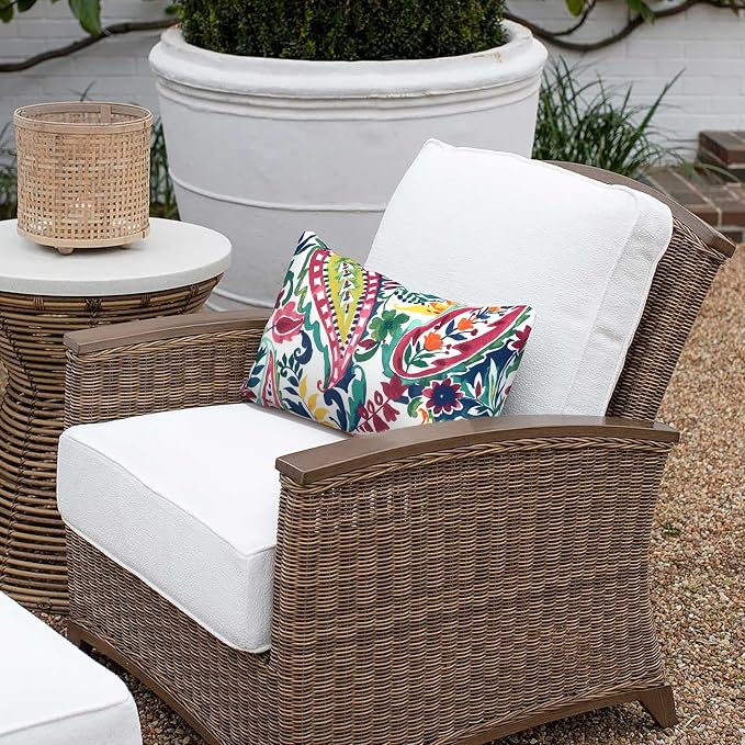 Outdoor Lumbar Pillow Covers 12”x20”, Rectangle Throw Pillow Covers for Patio Furniture, Decorative Lumbar Cushion Case for Garden Balcony Couch Office Chair, Pack of 2, Vigour Paisley