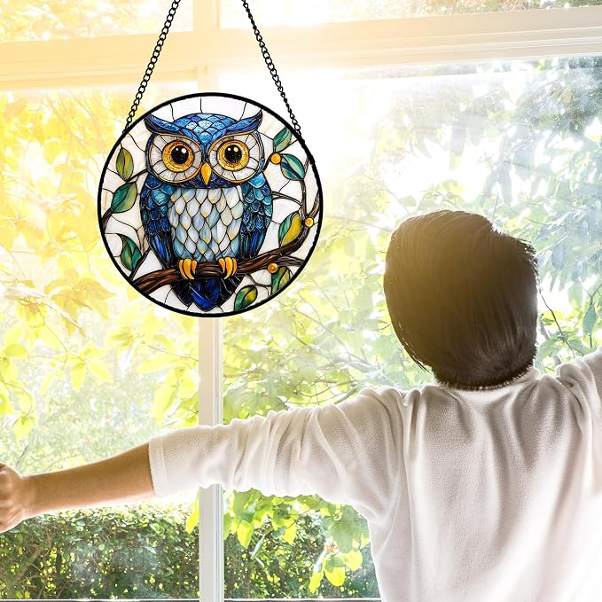 DASTOLL Stained Glass Window Hanging, Owl Gifts for Women Sun Catchers Diamond Glass Panel Hangings Birds Suncatcher Decor for Birthday for Women, Men, Wife, Aunt,and Mom 7.8X7.8IN