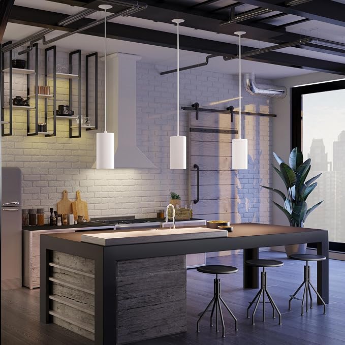 Progress Lighting 1-Light Modern Outdoor Hanging Pendant Light, 6-Inch, Cylinder Collection, Indoor & Outdoor, White (P500356-030)