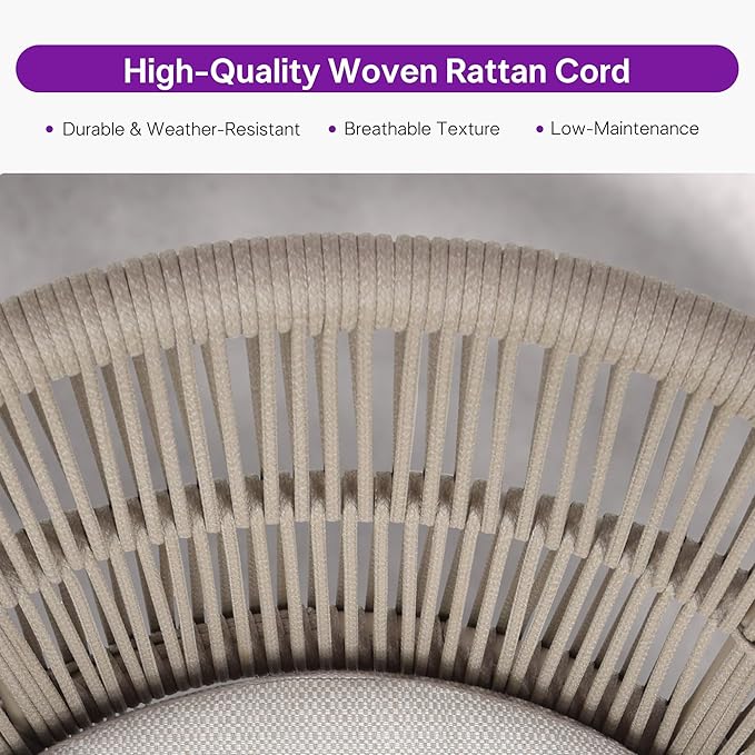 PURPLE LEAF 12 Pieces Outdoor Dining Set All Weather Wicker Patio Dining Set with Rectangular Aluminum Table and Modern Armrest Dining Chairs for Garden Deck Backyard Kitchen, Champagne