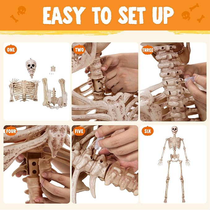 JOYIN 5.6 FT Halloween Posable Life Size Skeleton, Full Body Realistic Bones with Movable Joints, Giant Skeletons Halloween Decorations for Indoor Outdoor Haunted House Props, Spooky Scene Party Decor