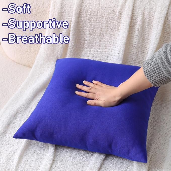 Outdoor Throw Pillows with Inserts, Waterproof Pillows for Outdoor Seating, Square Decorative Garden Cushion for Patio Furniture, Bed, Couch, Sofa(Klein Blue, 18" x 18" (Pack of 2))