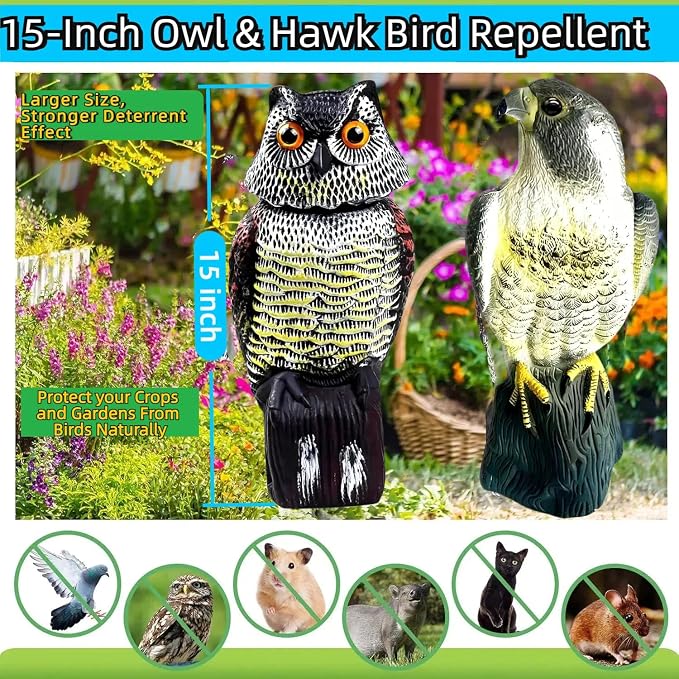Hawk Decoy to Scare Birds Away - Owl & Hawk Garden Decoy Combo, 2X Protection Wind-Activated Bird Deterrent for Farms & Yards, 50% Larger Size (15")