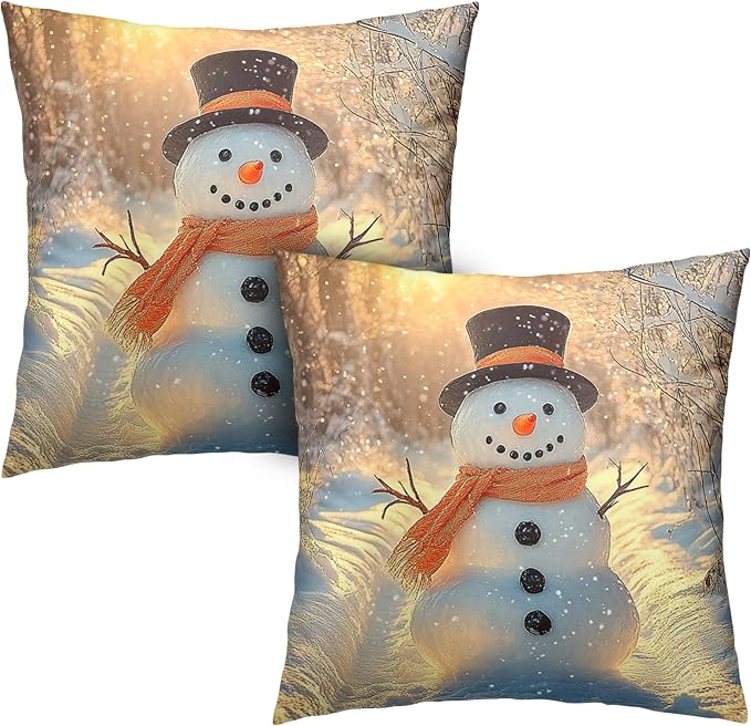 Winter Pillow Covers Snowman in The Sunshine Throw Pillow Covers 20x20 Snowflakes Pillow Case Double Sided Printing Cushion Case for Home Decor Couch Sofa Set of 2