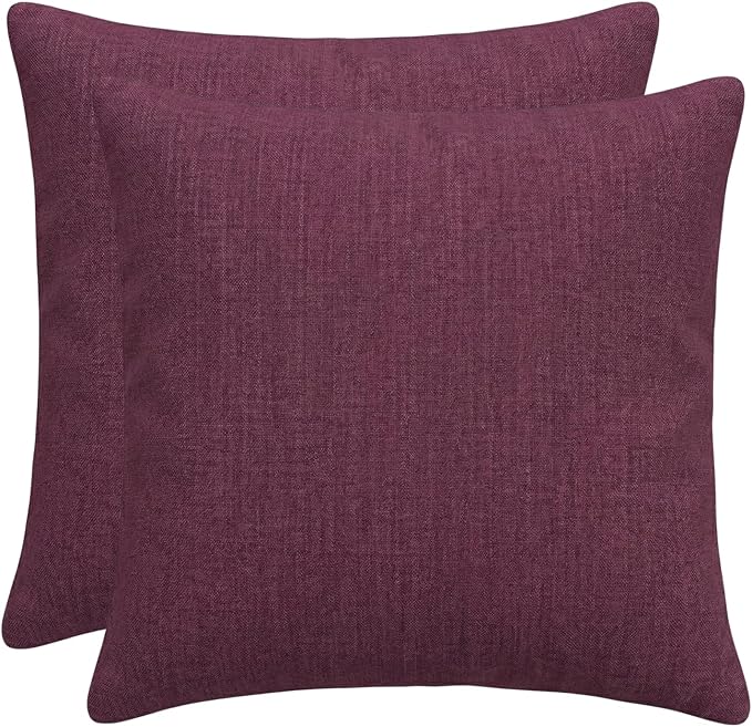 RSH DECOR Square Throw Pillows Set of 2, 17" x 17", Outdoor Pillows Waterproof, Outdoor Pillow Covers, Pillow Covers for Couch, Canvas Iris, Made in USA