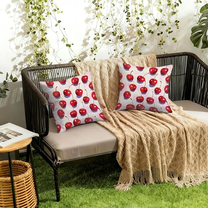 22x22 Inch Outdoor Pillow Covers Set of 2 Waterproof Throw Pillow Covers Decorative Couch Cushion Covers Red Cherry Fruit Square Pillowcases Protectors for Patio Garden Sofa