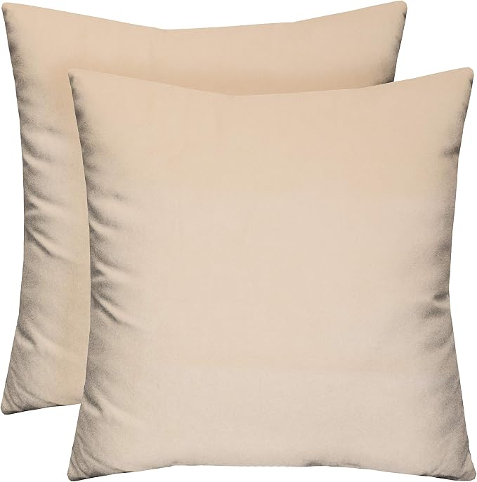 RSH DECOR Indoor/Outdoor All Weather Polyester Fabric, Decorative Accent Pillows for Patio Furniture, Reversible, 24" x 24", Gadsen Rice - 2 Square Throw Pillows
