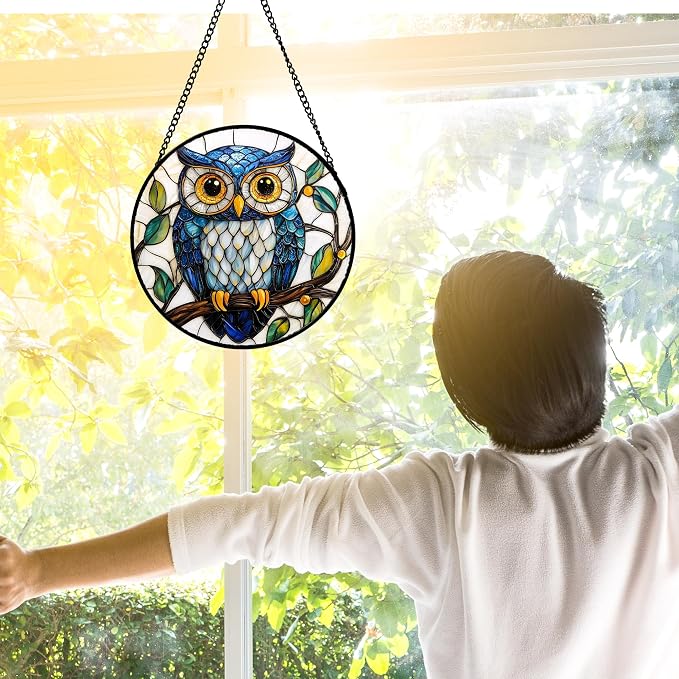 DASTOLL Stained Glass Window Hanging, Owl Gifts for Women Sun Catchers Diamond Glass Panel Hangings Birds Suncatcher Decor for Birthday for Women, Men, Wife, Aunt, and Mom 6.3 in