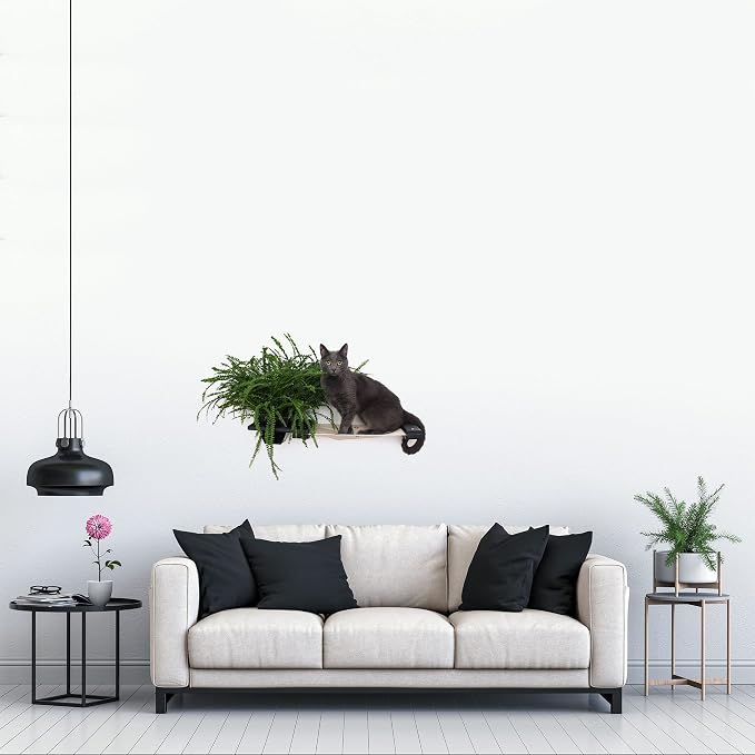 Catastrophic Creations Cat Planter Lounge Cat Hammock — 25-Inch Black/Natural Canvas— Cat Wall Shelf— Cat Wall Furniture — Cat Climbing Shelves — Cat Floating Shelves — Cat Wall Hammock
