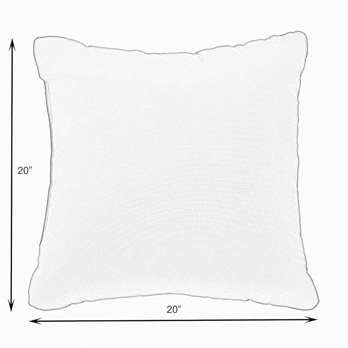 Sorra Home Pendleton Knife Edge Set of 2 Decorative Outdoor Pillow, 20 in, Diamond River Char 4 Pound