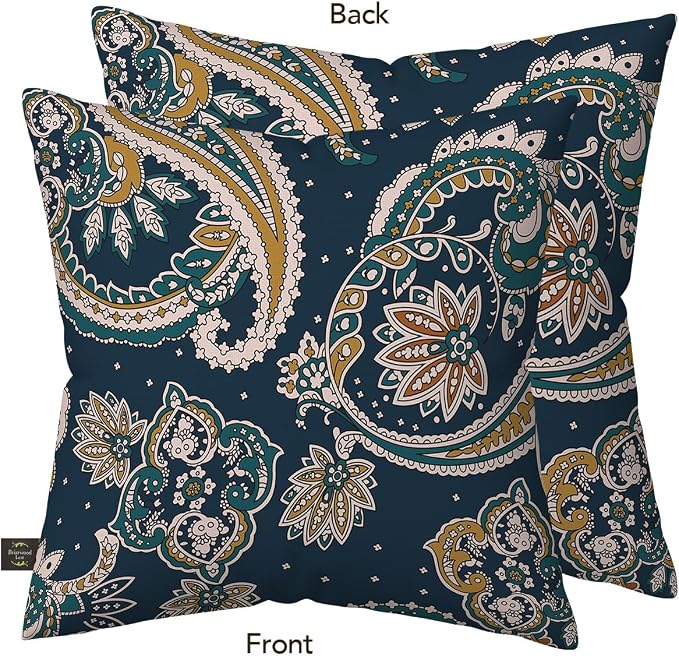 Briarwood Lane Everday Indoor/Outdoor Pillow 17x17 Paisley for Everday Pillow