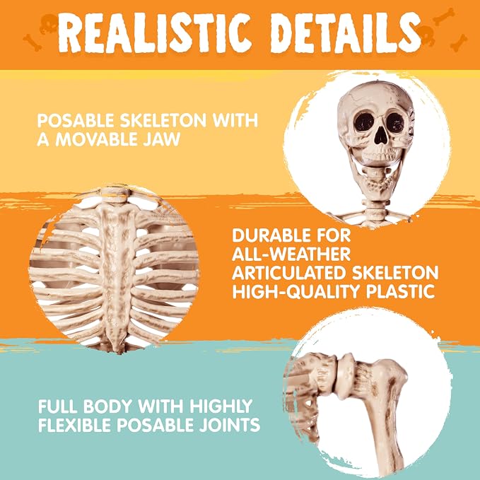 JOYIN 5.6 FT Halloween Posable Life Size Skeleton, Full Body Realistic Bones with Movable Joints, Giant Skeletons Halloween Decorations for Indoor Outdoor Haunted House Props, Spooky Scene Party Decor