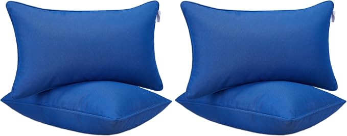 JMGBird Blue Outdoor Pillows Waterproof Outdoor Throw Pillows with Insert (Pack of 2)