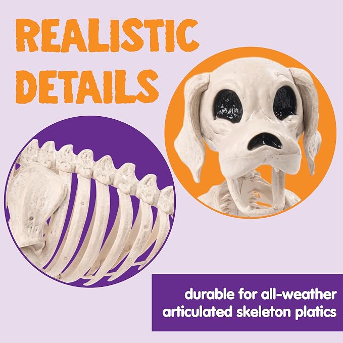 JOYIN Posable Halloween Dog Skeleton Full Body Posable Joints Realistic Skeleton Puppy with Movable Joints for Halloween Decoration, Graveyard Party Decor (9.8” X 4.7” X 12.6”)