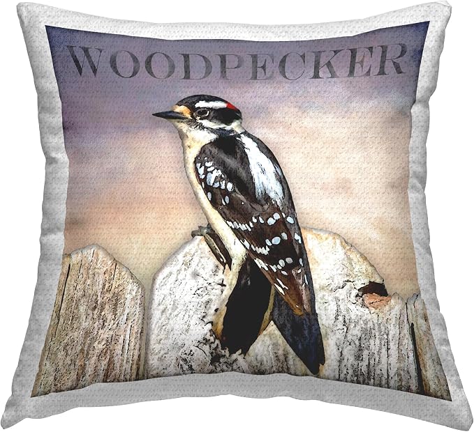 Stupell Industries | Woodpecker Bird Nature Animal Design, 18 x 18 | Outdoor Pillow, Made in USA - By Alpenglow Workshop