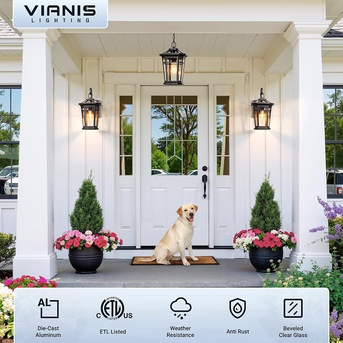 VIANIS Large Exterior Wall Light, Waterproof Dusk to Dawn Porch Lights, Rustproof Aluminum Outdoor Wall Lamp, Black Gold Trim Exterior Porch Lights, Outside Lighting Fixtures for House, Garage, Coach