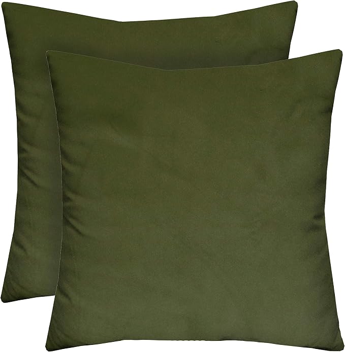 RSH DECOR Set of 2 Square Throw Pillows | Indoor/Outdoor All Weather Polyester Fabric | Decorative Accent Pillows for Patio Furniture | Reversible | 20" x 20" | Gadsen Army