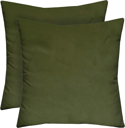 RSH DECOR Set of 2 Square Throw Pillows | Indoor/Outdoor All Weather Polyester Fabric | Decorative Accent Pillows for Patio Furniture | Reversible | 20" x 20" | Gadsen Army