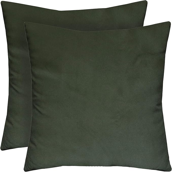 RSH DECOR Square Throw Pillows Set of 2, 17x17 Inch Decorative Pillows for Couch, Water-Resistant Patio Furniture Pillows, All-Weather Spun Fabric, Gadsen Dark Green - Made in USA