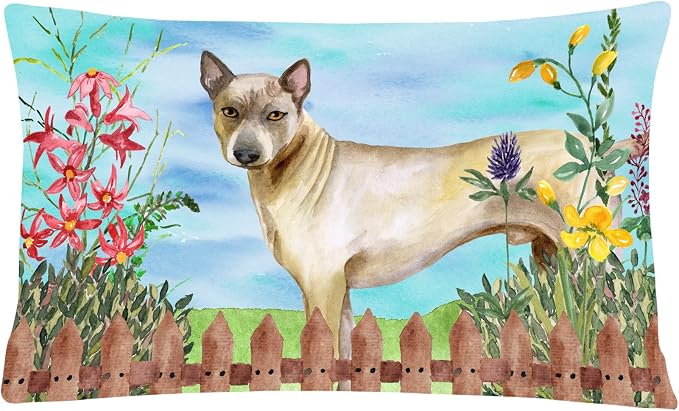 Caroline's Treasures CK1242PW1216 Thai Ridgeback Spring Canvas Fabric Decorative Pillow Machine Washable, Indoor Outdoor Decorative Pillow for Couch, Bed or Patio, 12HX16W