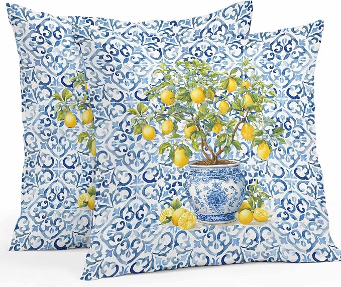 Summer Lemons Outdoor Pillow Covers 18x18 Inch Throw Pillow Covers Set of 2 Waterproof Decorative Pillow Cases Blue Boho Floral Farmhouse Botanical Cushion Covers for Patio Furniture Garden Couch Sofa