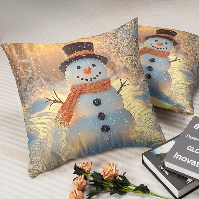 Winter Pillow Covers Snowman in The Sunshine Throw Pillow Covers 20x20 Snowflakes Pillow Case Double Sided Printing Cushion Case for Home Decor Couch Sofa Set of 2