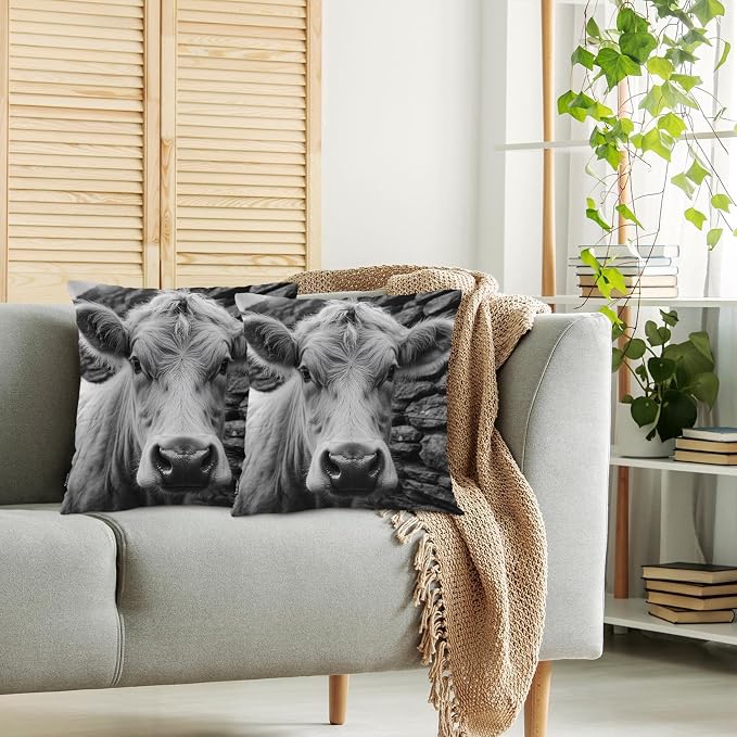 Swono Highland Cattle Pillow Covers, Farm Animal Cow Cattle Decorative Pillow Case Home Sofa Cushion Set, Pillow Cushion Cases for Bed/Patio/Garden/Balcony, 2-Pack 18x18 Inch, Black White