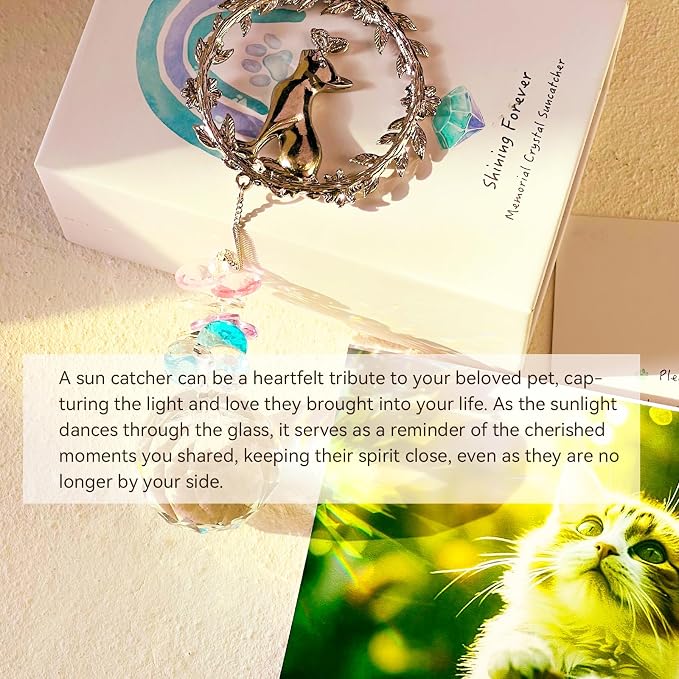 Loss of Cat Sympathy Gifts, Cat Memorial Suncatcher, Cat Remembrance Gift | Thoughtful Pet Passing Away Bereavement Gift
