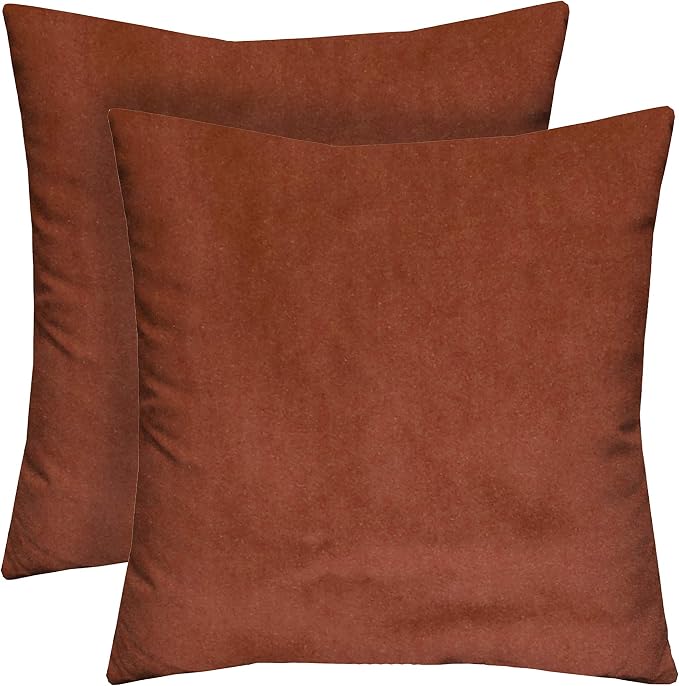 RSH DECOR Set of 2 Square Throw Pillows | Indoor/Outdoor All Weather Polyester Fabric | Decorative Accent Pillows for Patio Furniture | Reversible | 24" x 24" | Gadsen Cranapple
