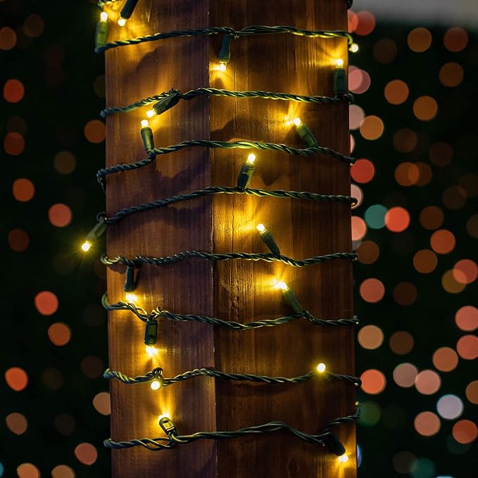 Novelty Lights 50ft 100 LED Sun Warm White Christmas Lights Outdoor/Indoor, 6" Spacing, Green Wire String Lights for Festive Xmas Lighting, IP55, UL Listed, Dimmable, Connectable