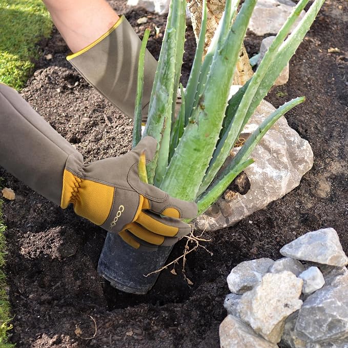 COOLJOB Thorn Proof Rose Pruning Garden Gloves for Women, Long Sleeve Padded Yard Work for Bush, Blackberry, Cactus, Heavy Duty/Puncture Resistant/Machine Washable, Medium, Yellow | Heavy Duty Puncture Resistant Gardening Gloves,Breathable Padded Yard ...